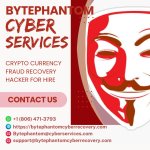 BYTE PHANTOM CYBER SERVICE4.jpeg