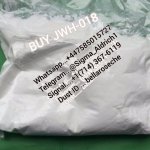 WhatsApp Image 2025-07-07 at 1.16.47 AM (1).jpeg