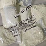 WhatsApp Image 2025-07-07 at 1.16.48 AM (2).jpeg