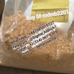 WhatsApp Image 2025-07-07 at 1.16.47 AM.jpeg