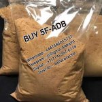 WhatsApp Image 2025-07-07 at 1.16.48 AM.jpeg