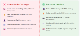 Pain Points in Traditional Stock Audits.png