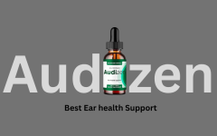 Audizen 2246.png
