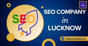 SEO Company in Lucknow.png