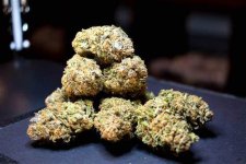 Marijuana 2.jpg