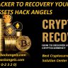 HIRE A  HACKER TO RECOVERY YOUR LOST/ OR STOLEN ASSETS HACK ANGELS